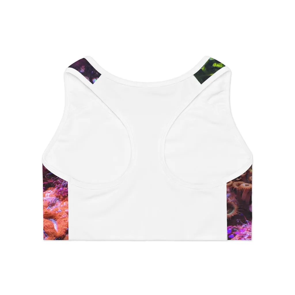 Aquarium Sports Bra (AOP)