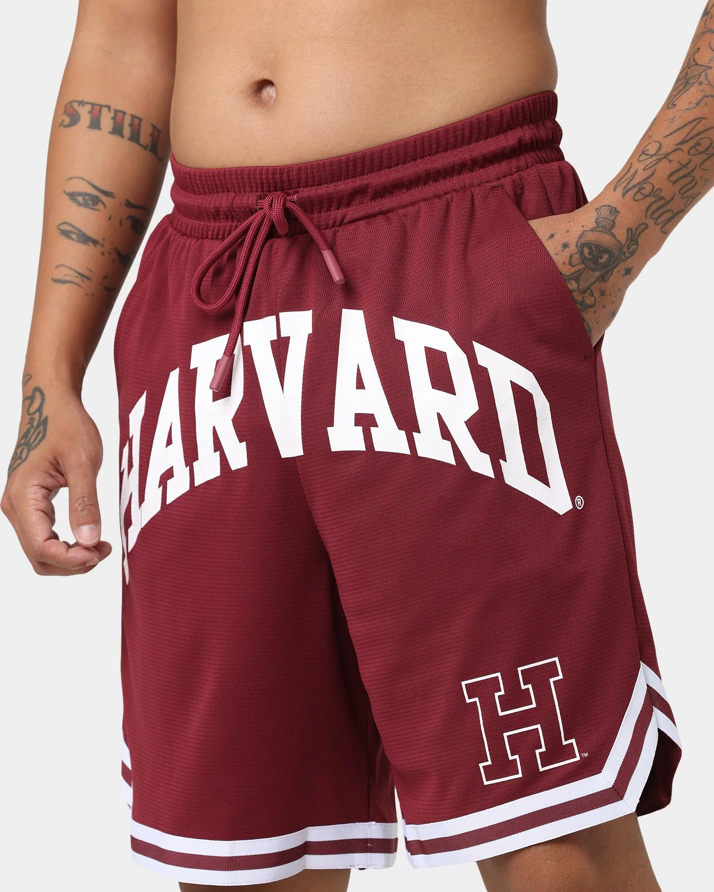 National Collegiate Athletic Association Harvard XL Logo Shorts Burgundy