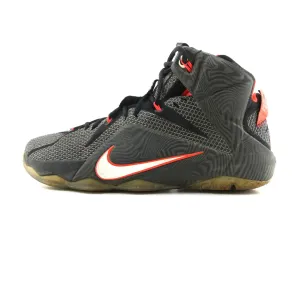 NIKE LEBRON 12 COURT VISION