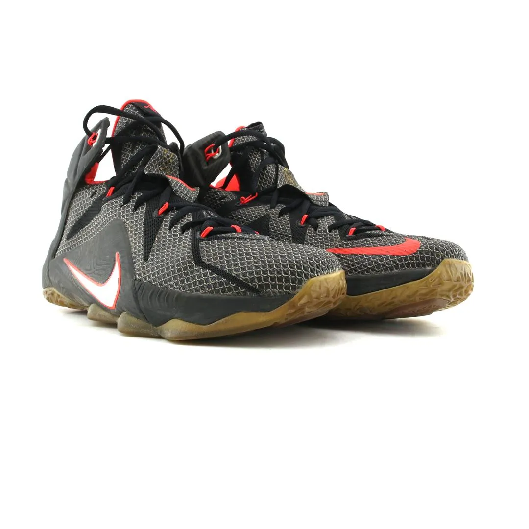 NIKE LEBRON 12 COURT VISION